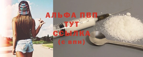 индика Сатка