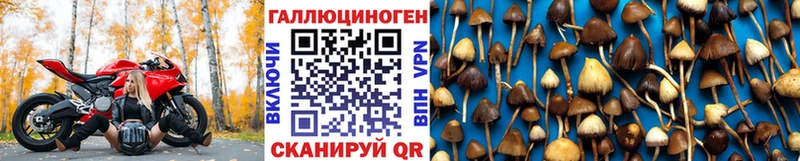 Псилоцибиновые грибы Magic Shrooms  Певек 